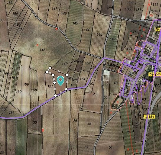 Parcela agrícola en venta en Pinoso - Comunidad Valenciana - foto 2