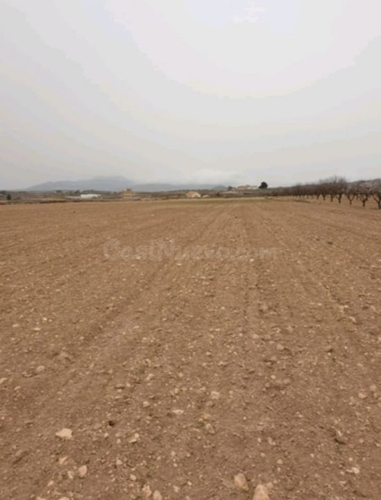 Parcela 840m² en venta - Comunidad valenciana - foto 5