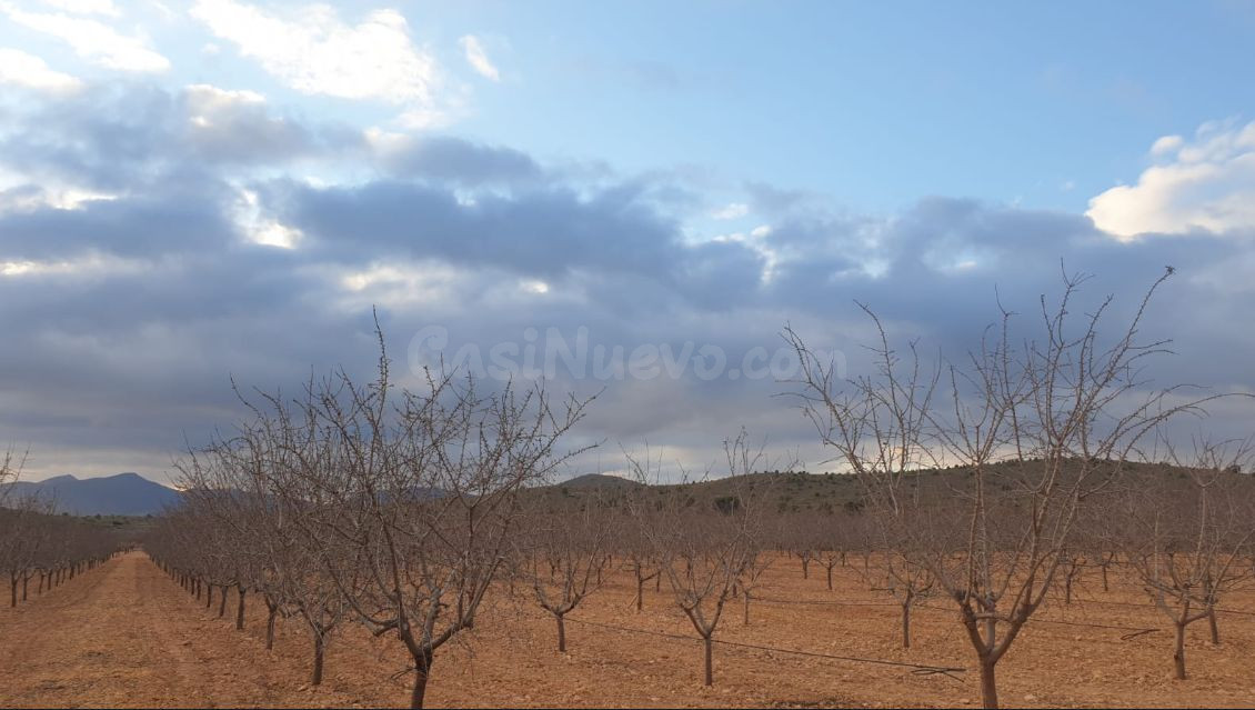 Finca en venta en Pinoso, Comunidad Valenciana - foto 4