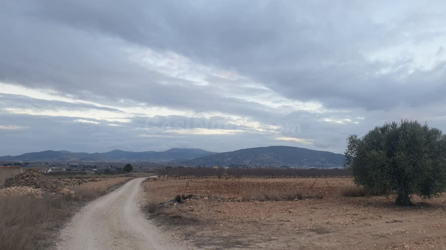 Parcela de inversión en la Costa Blanca - foto 2