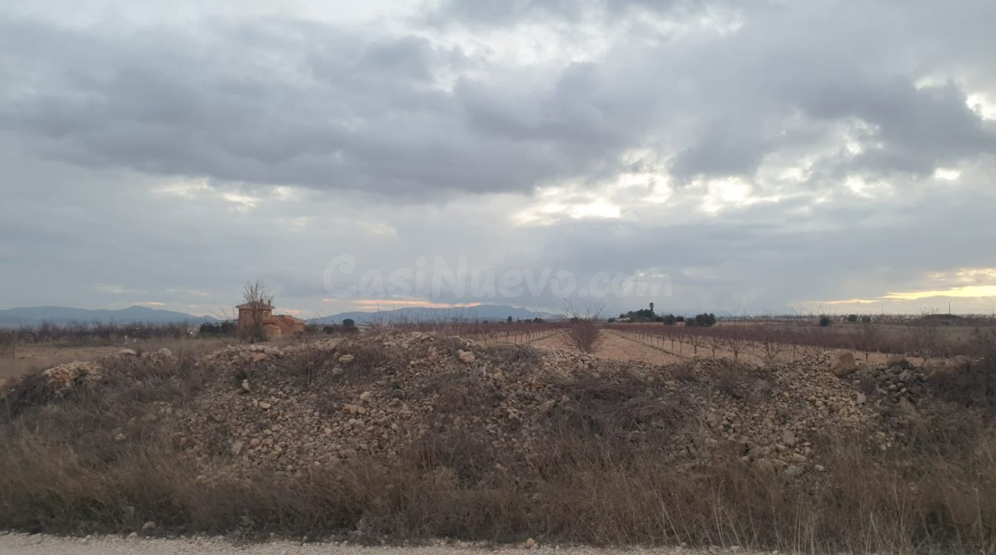 Parcela rústica en venta en Pinoso, Comunidad Valenciana - foto 2