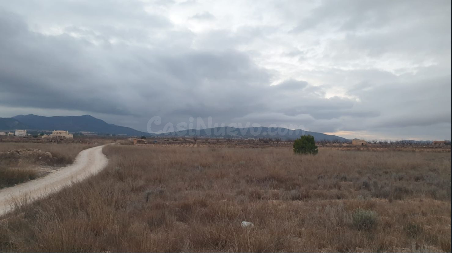 Parcela rústica en venta en Pinoso, Comunidad Valenciana - foto 5