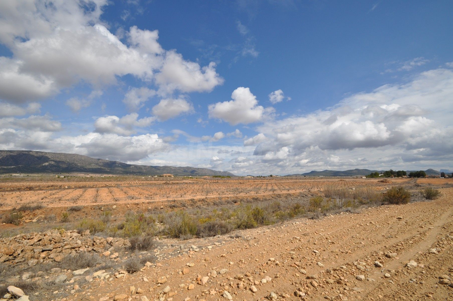 Parcela en venta en Pinoso, Comunidad Valenciana - foto 2
