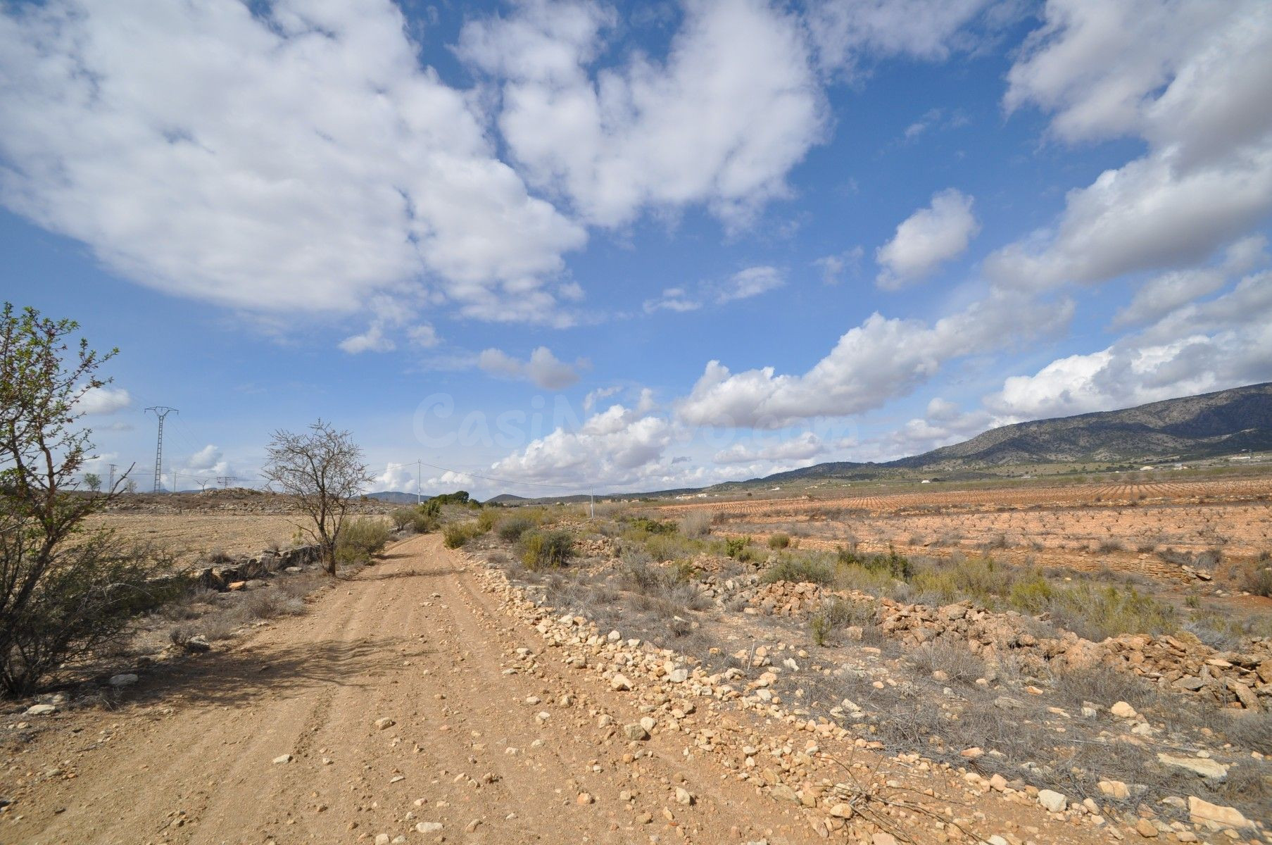 Parcela en venta en Pinoso, Comunidad Valenciana - foto 4