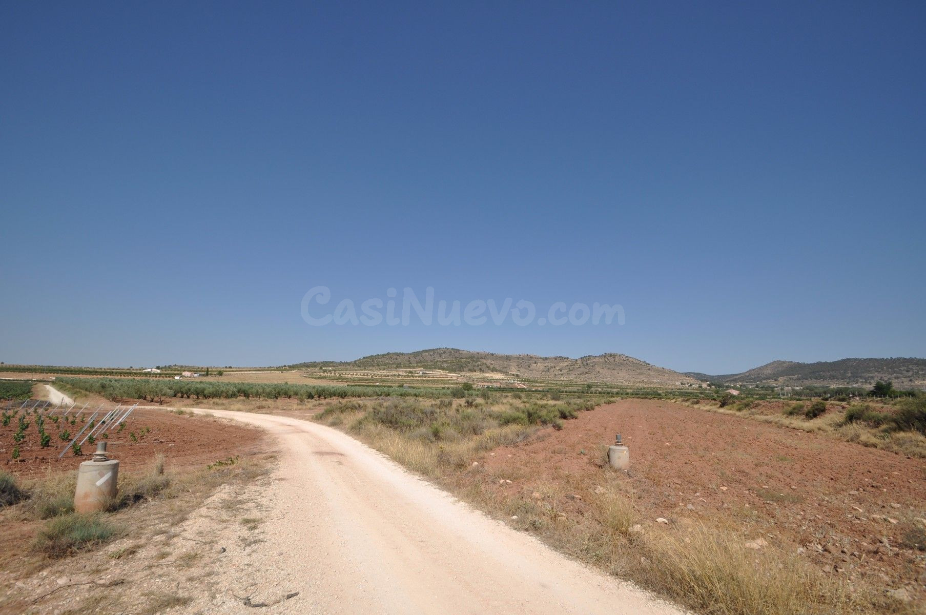Parcela en venta en Pinoso, Comunidad Valenciana - foto 2