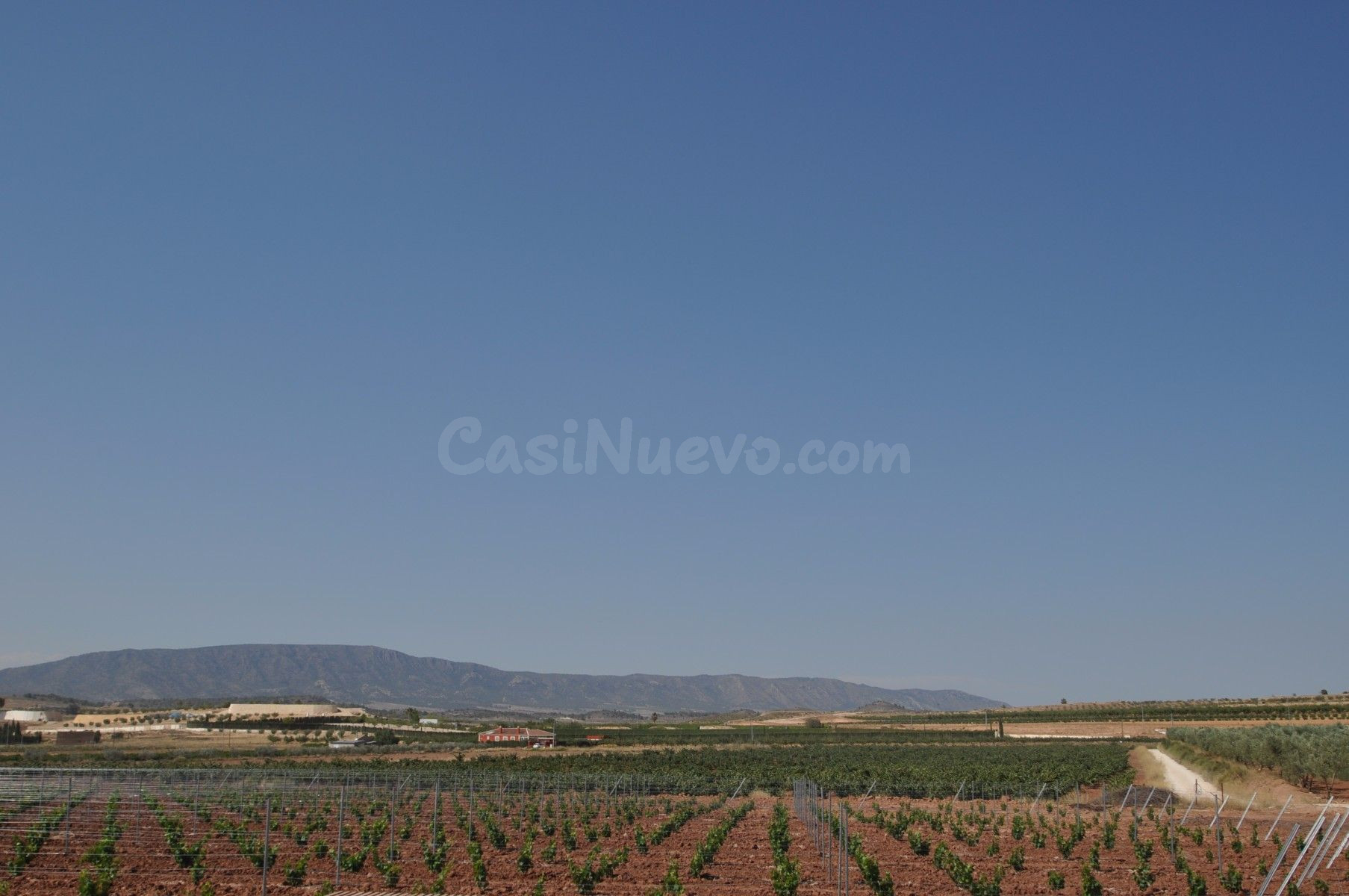 Parcela en venta en Pinoso, Comunidad Valenciana - foto 3