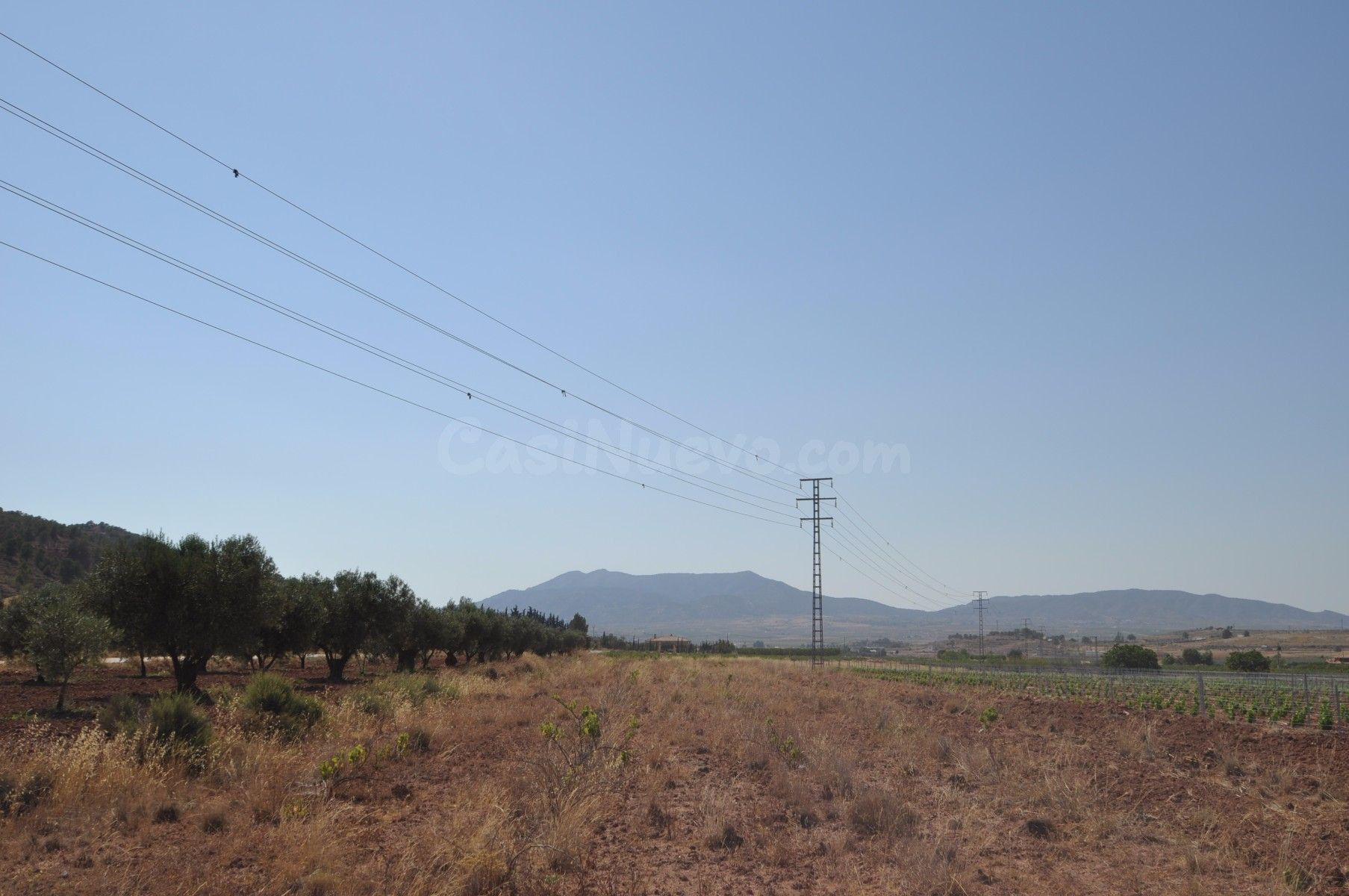 Parcela en venta en Pinoso, Comunidad Valenciana - foto 4