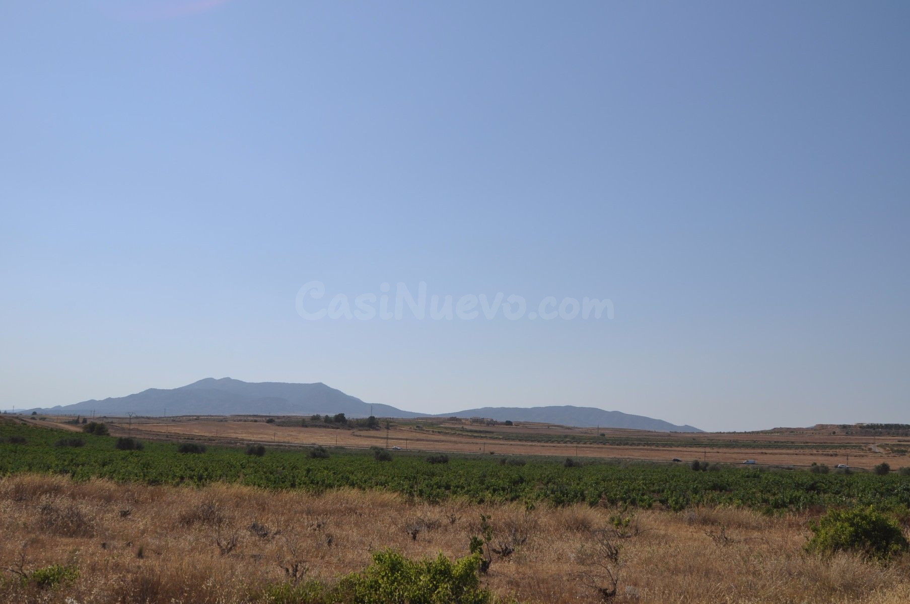 Parcela en venta en Pinoso, Comunidad Valenciana - foto 2