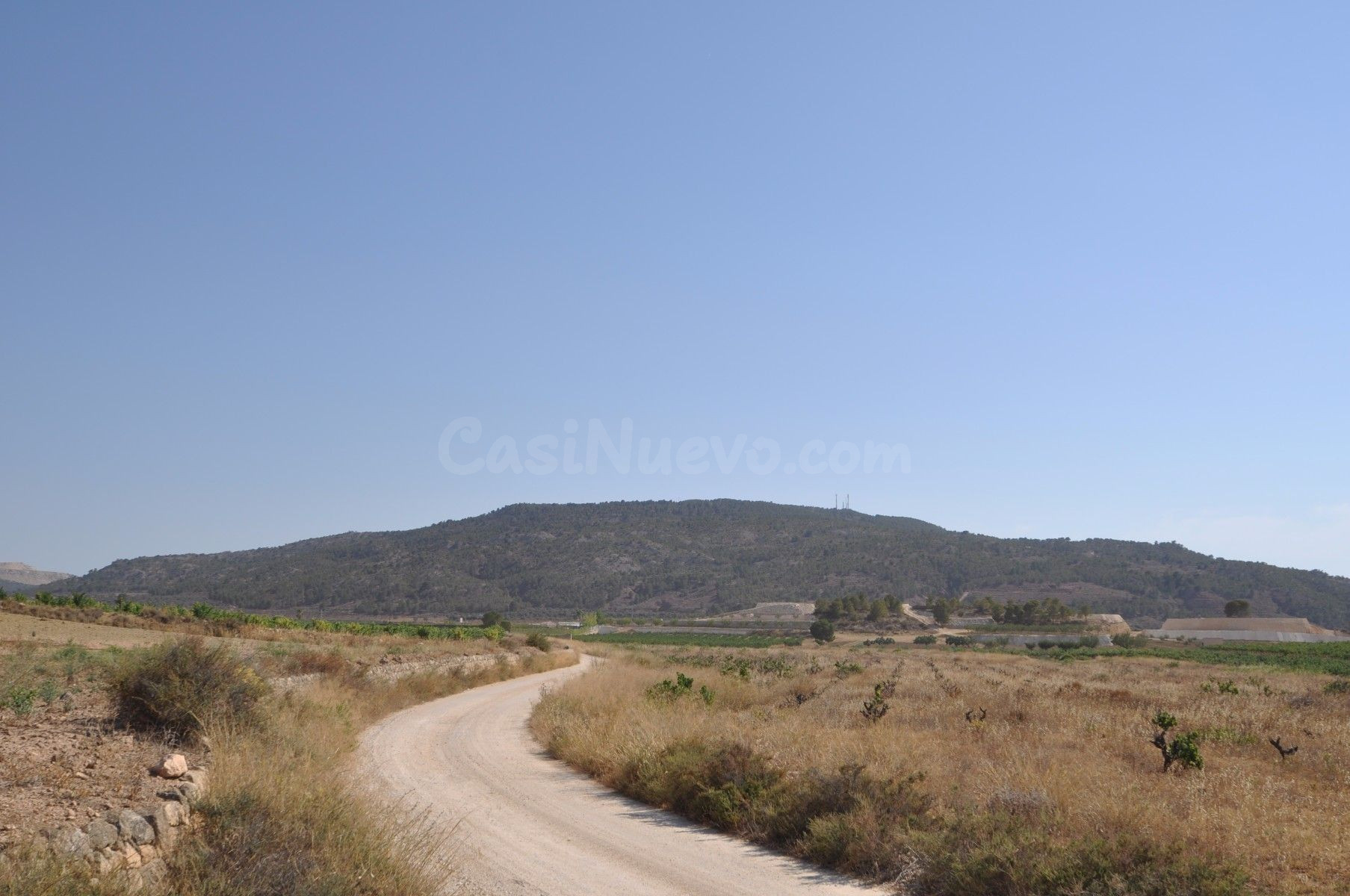 Parcela en venta en Pinoso, Comunidad Valenciana - foto 4