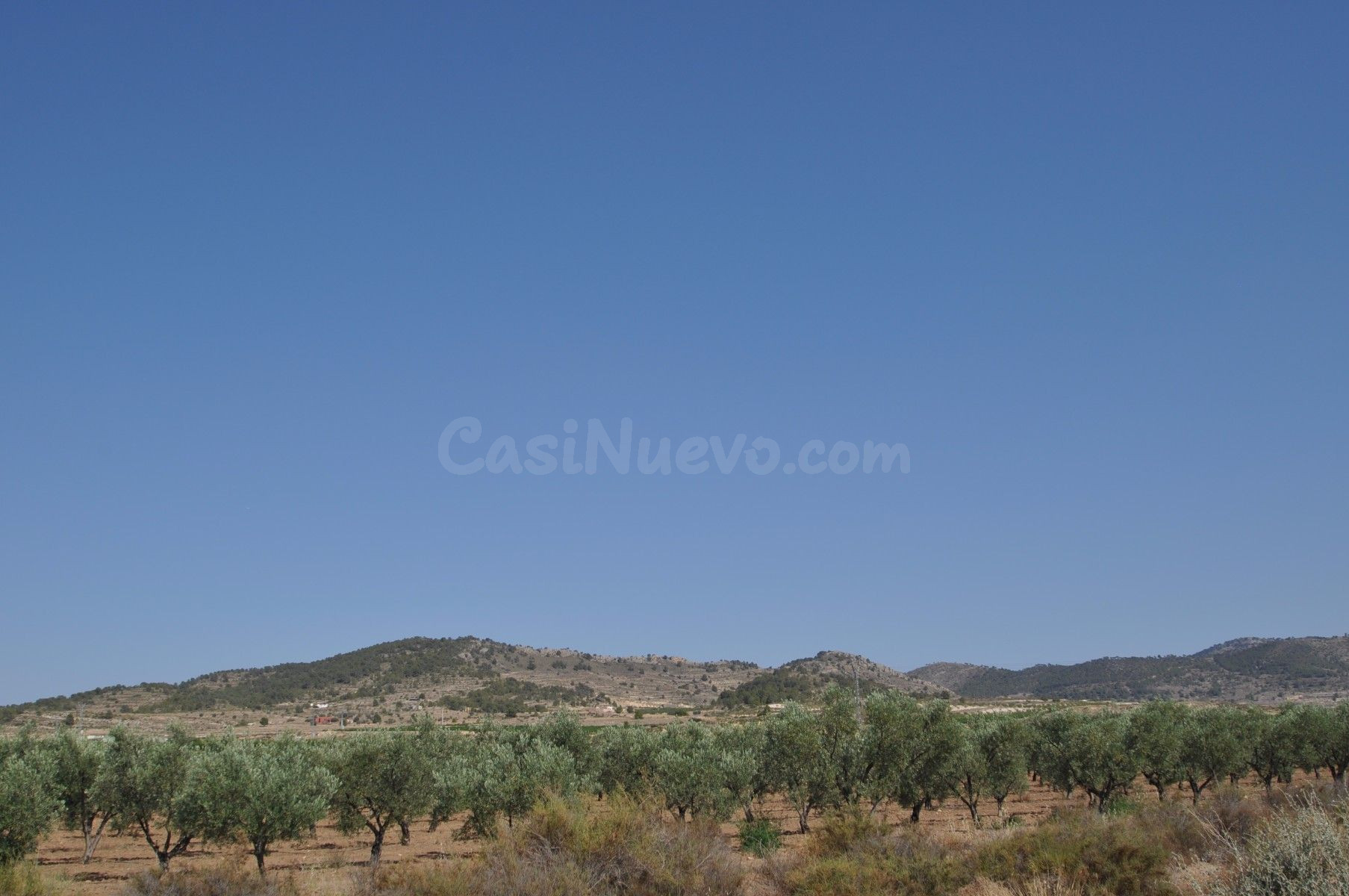 Parcela en venta en Pinoso, Comunidad Valenciana - foto 3