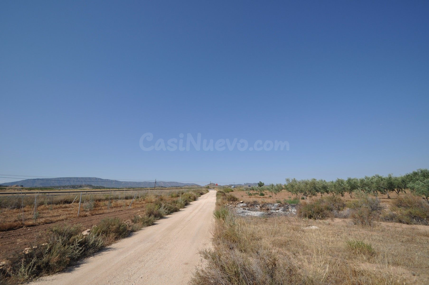 Parcela en venta en Pinoso, Comunidad Valenciana - foto 4