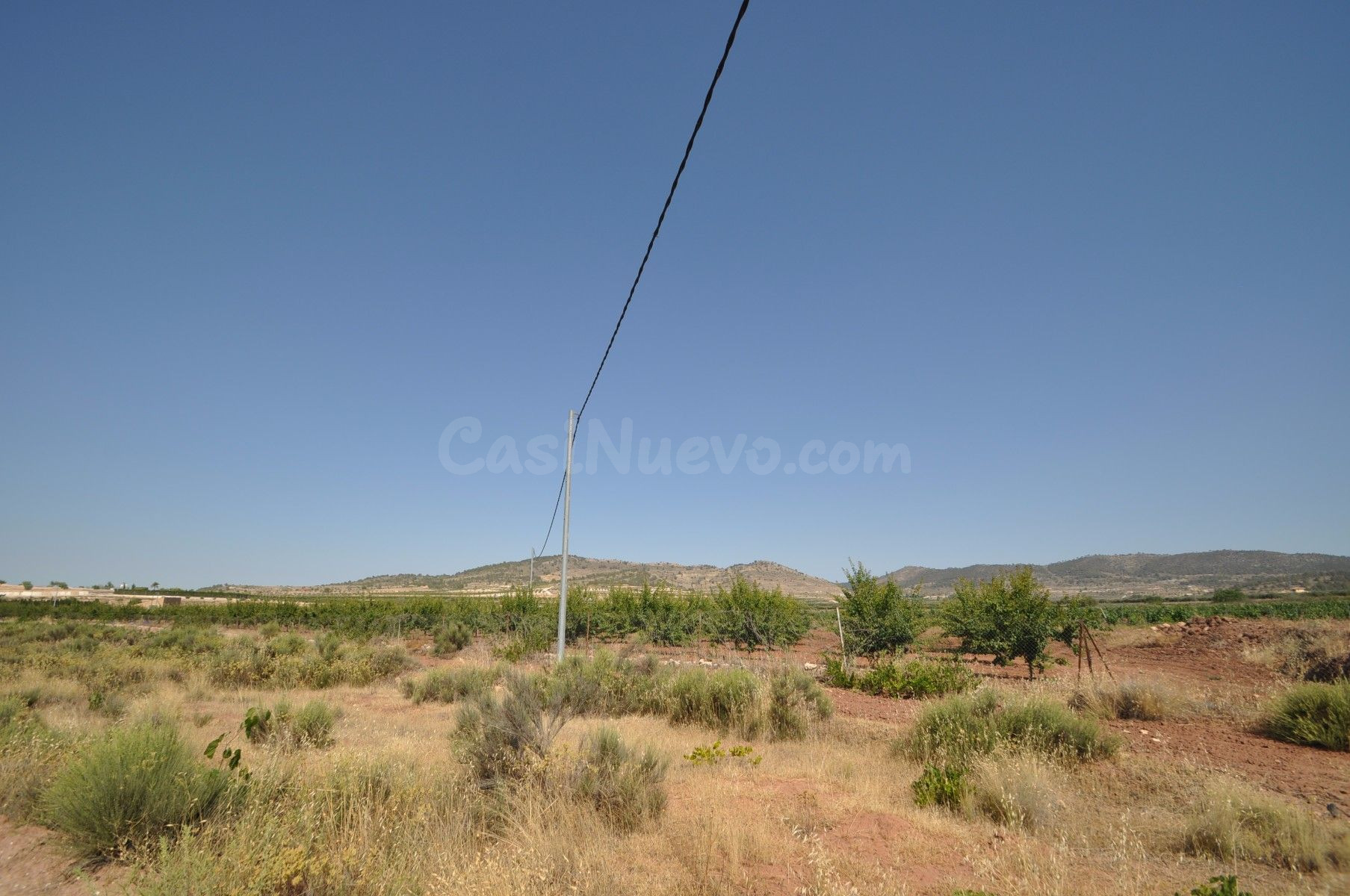 Parcela rústica en venta en Pinoso, Comunidad Valenciana - foto 2