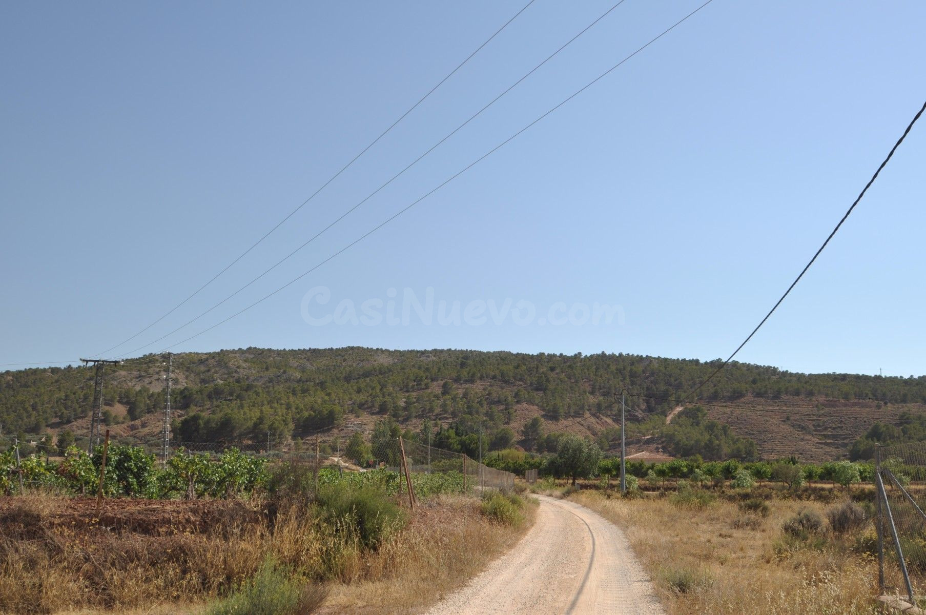Parcela rústica en venta en Pinoso, Comunidad Valenciana - foto 4
