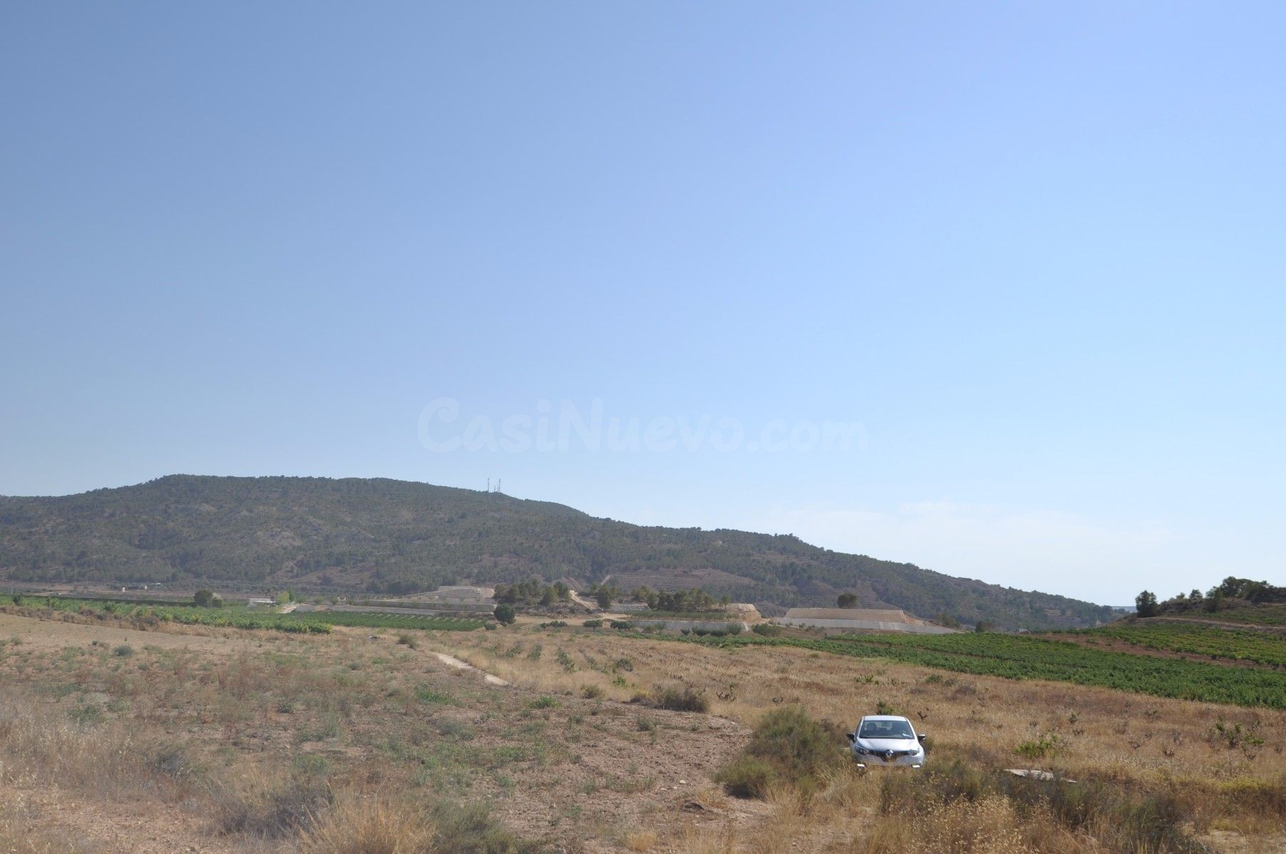 Parcela rural en venta en Pinoso, Comunidad Valenciana - foto 2