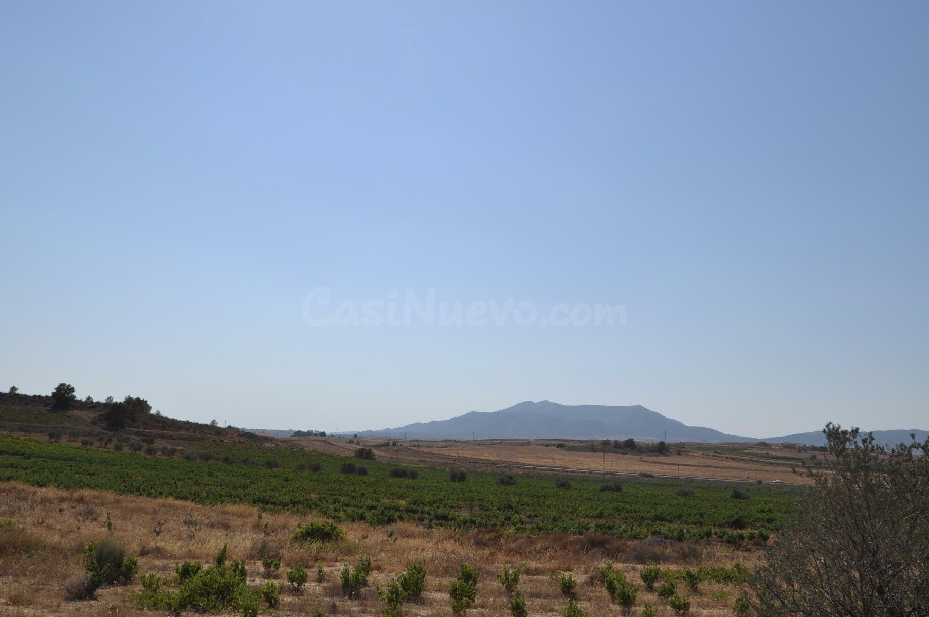 Parcela rural en venta en Pinoso, Comunidad Valenciana - foto 3