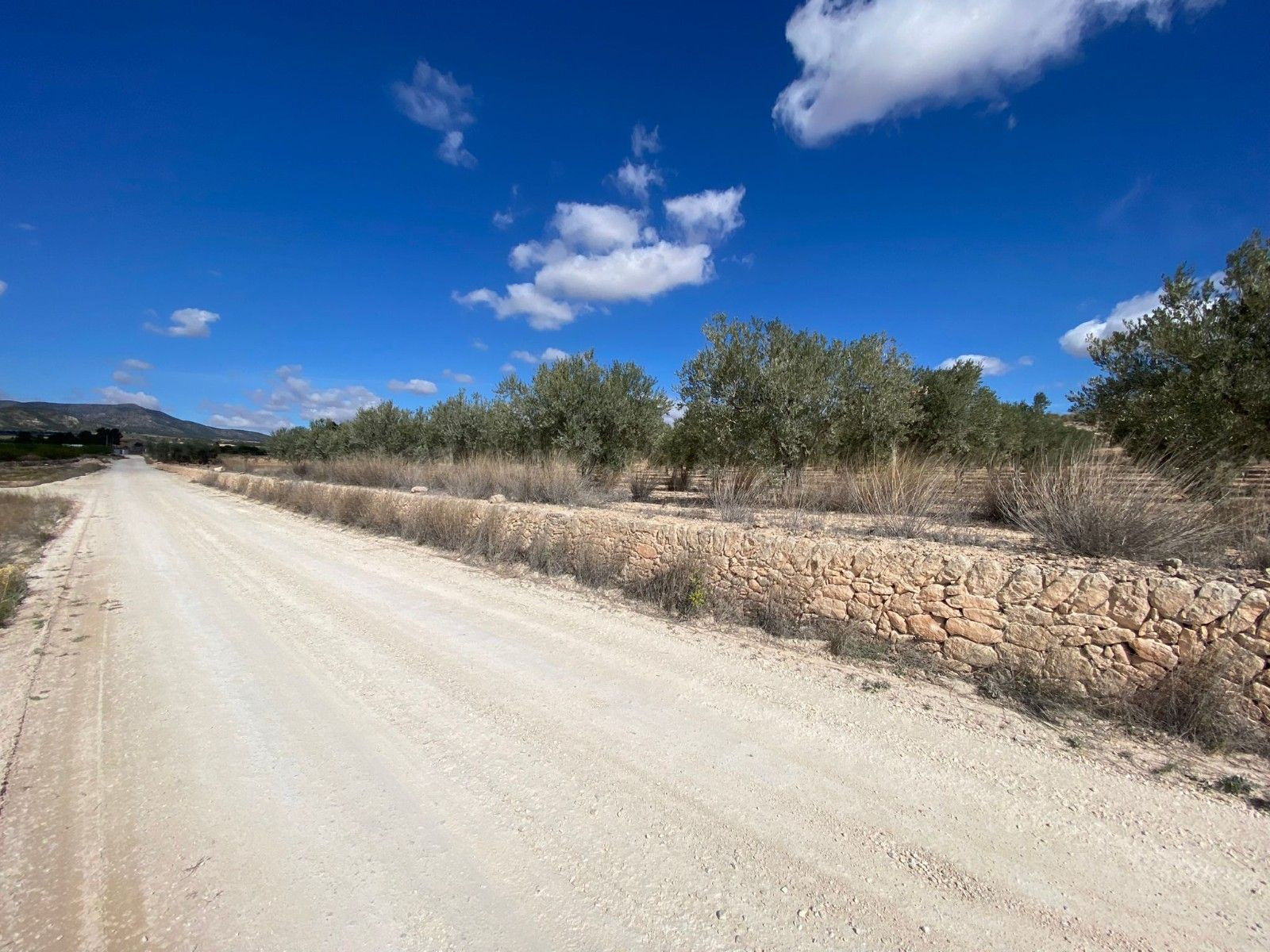 Parcela en venta en Pinoso, Comunidad Valenciana - foto 2