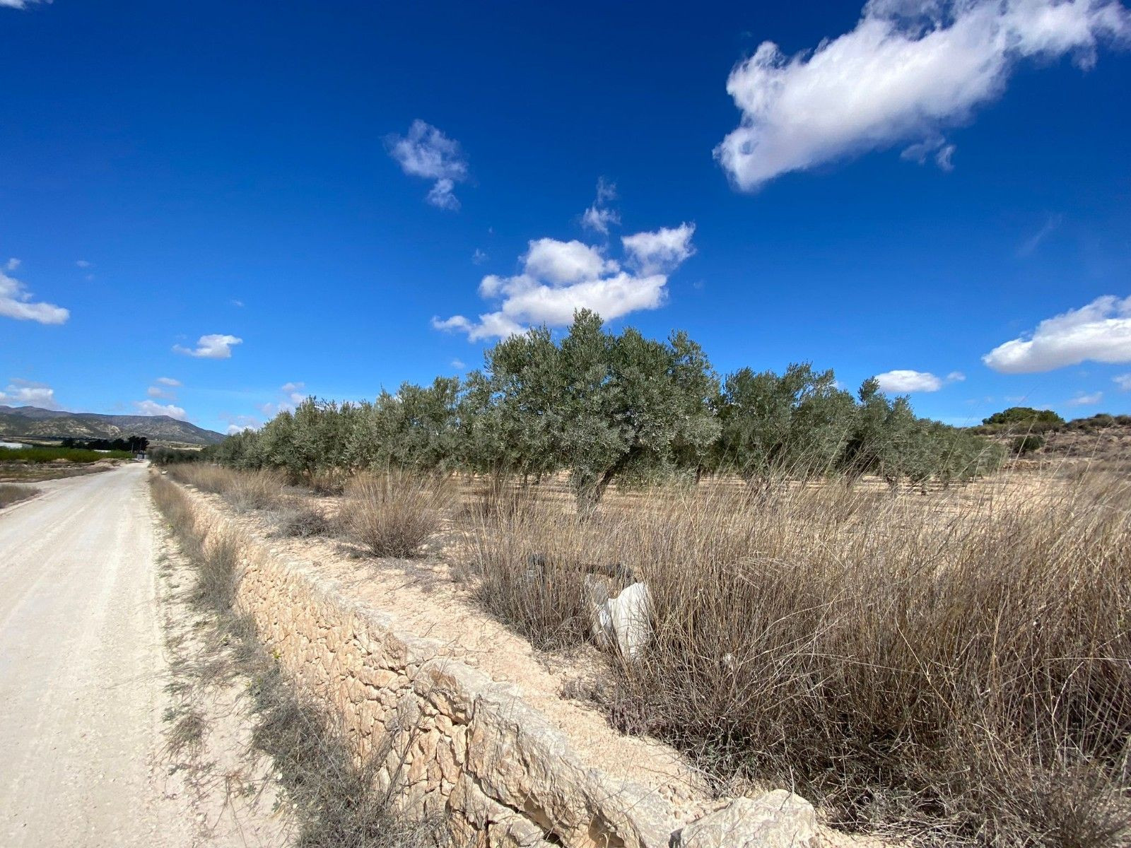 Parcela en venta en Pinoso, Comunidad Valenciana - foto 5