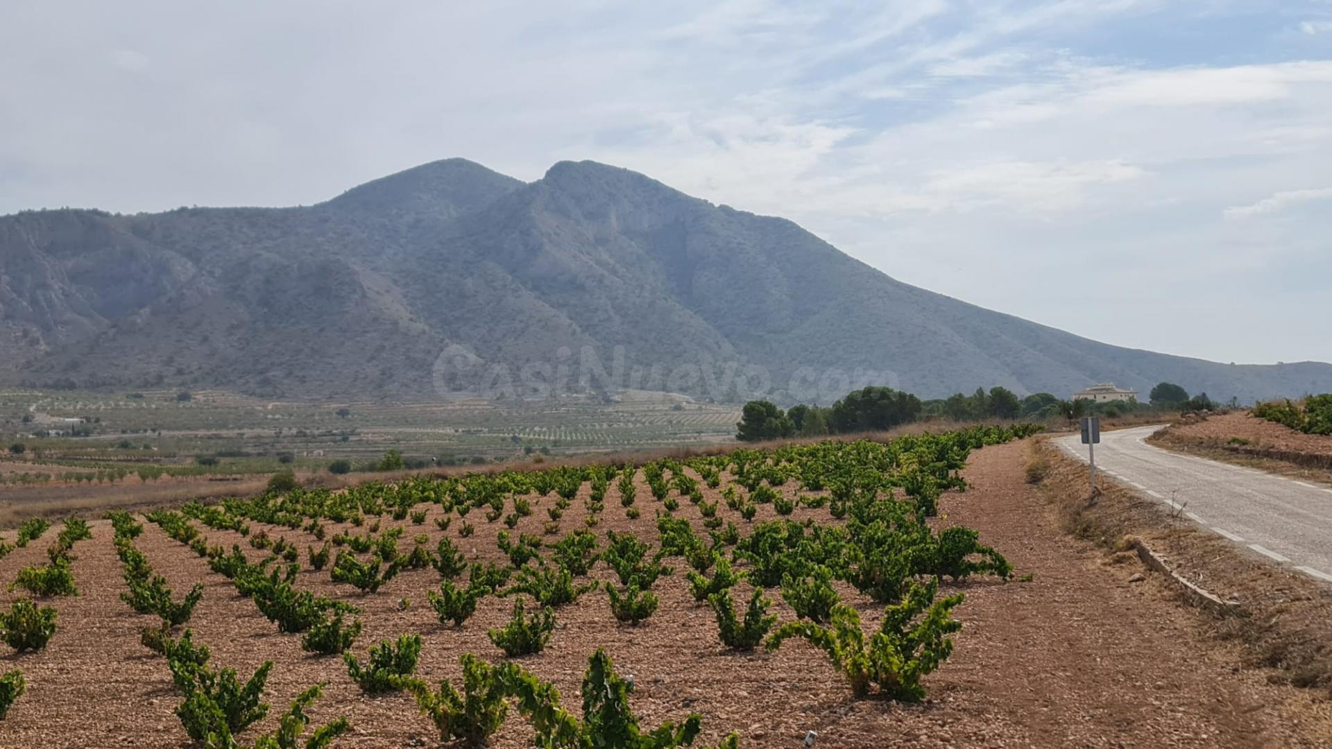 Parcela en venta - Abanilla - foto 5