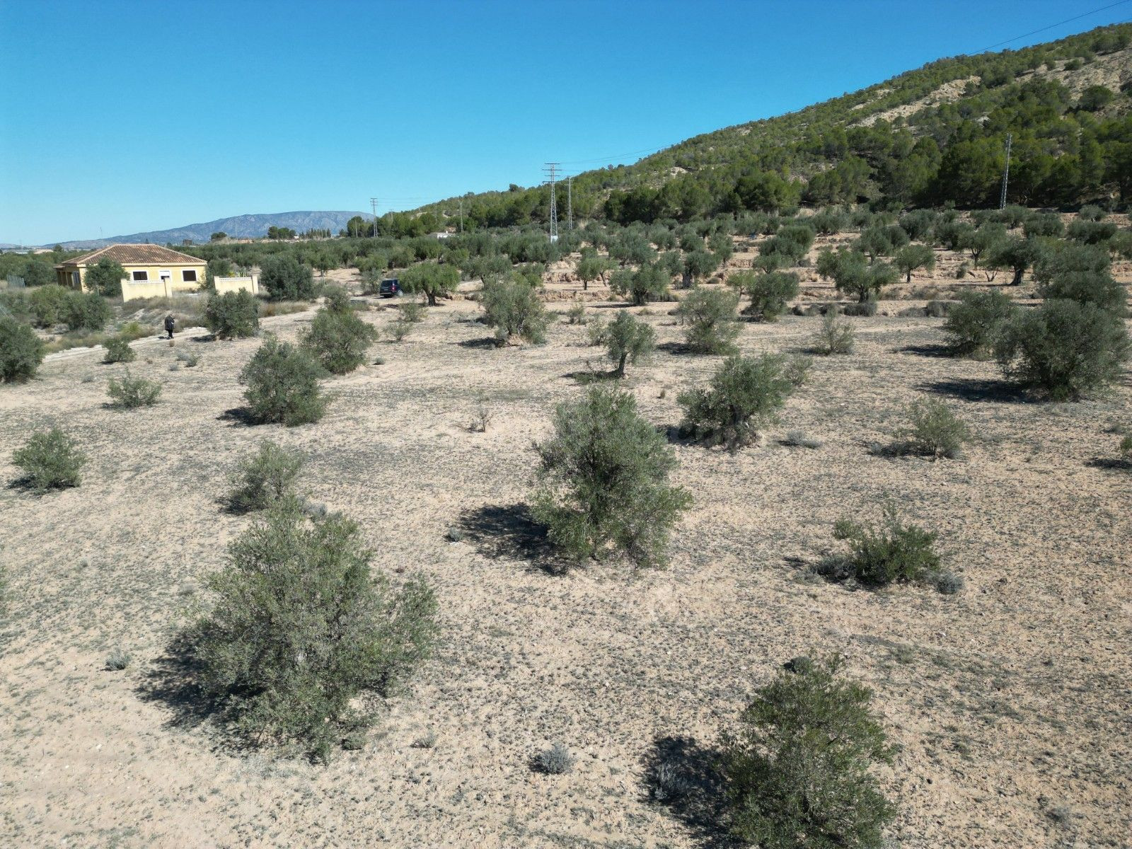 Parcela agrícola en venta en Pinoso, Comunidad Valenciana - foto 2