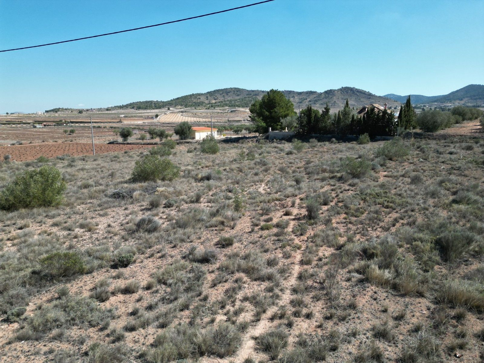 Terreno en venta en Pinoso, Alicante | Parcela rústica - foto 2