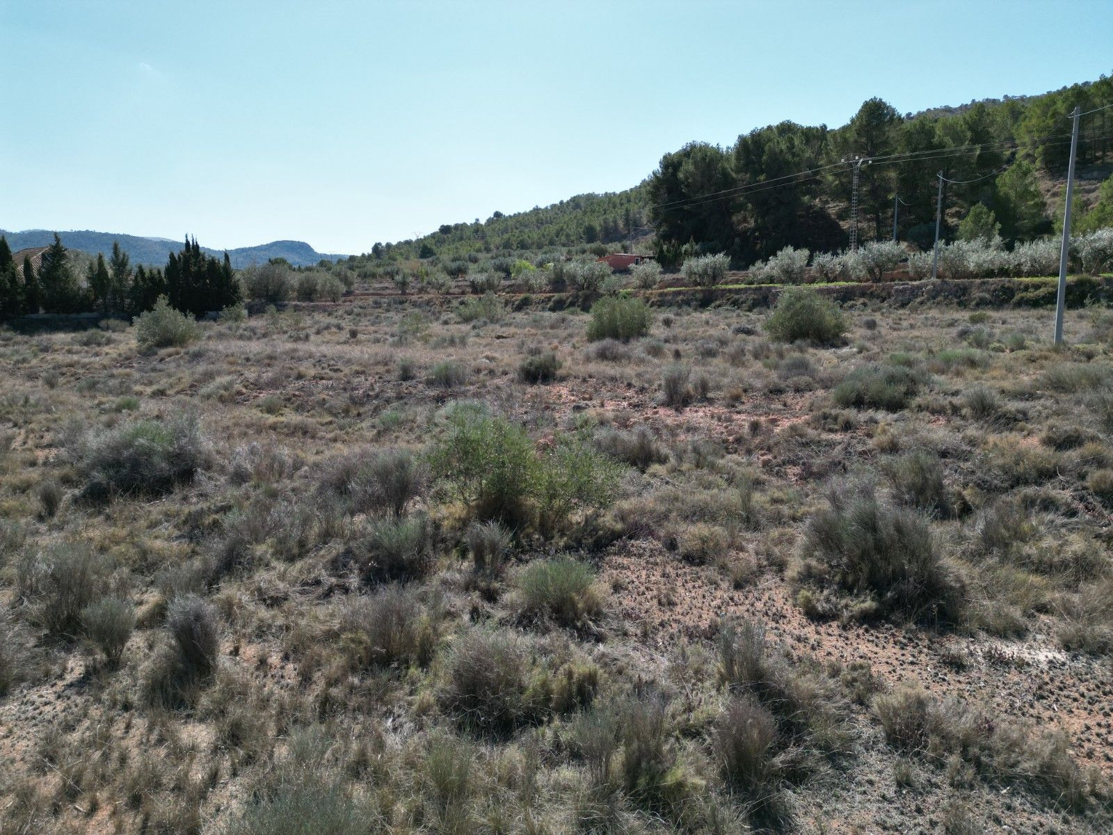 Terreno en venta en Pinoso, Alicante | Parcela rústica - foto 3