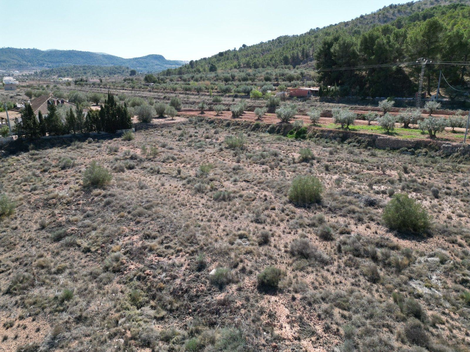 Terreno en venta en Pinoso, Alicante | Parcela rústica - foto 4