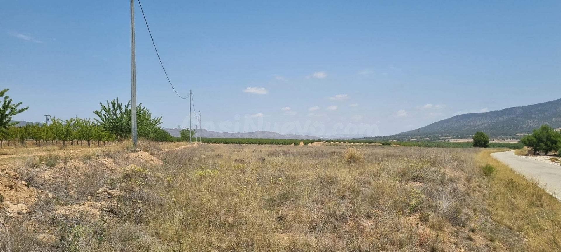 Parcela en venta - Yecla - foto 2