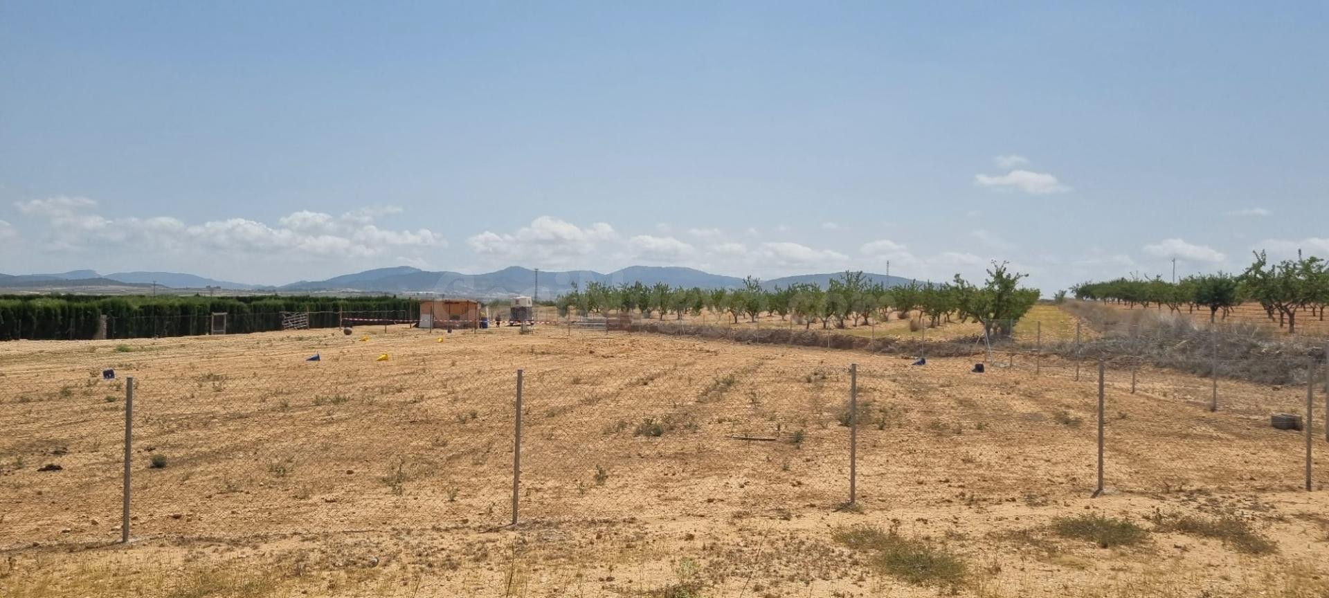 Parcela en venta - Yecla - foto 3