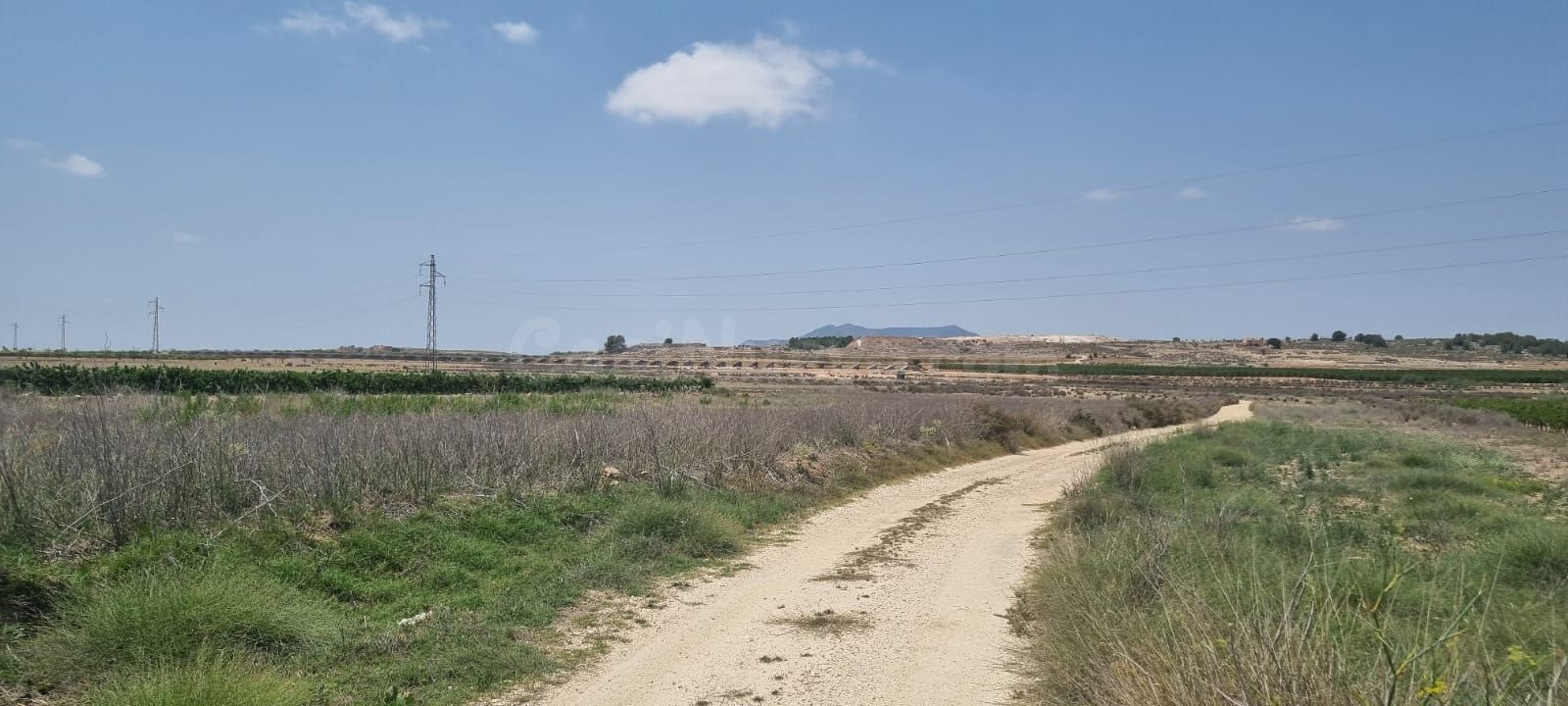 Parcela en Pinoso para construir tu hogar - foto 2