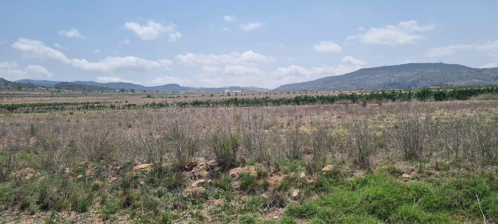 Parcela en Pinoso para construir tu hogar - foto 5