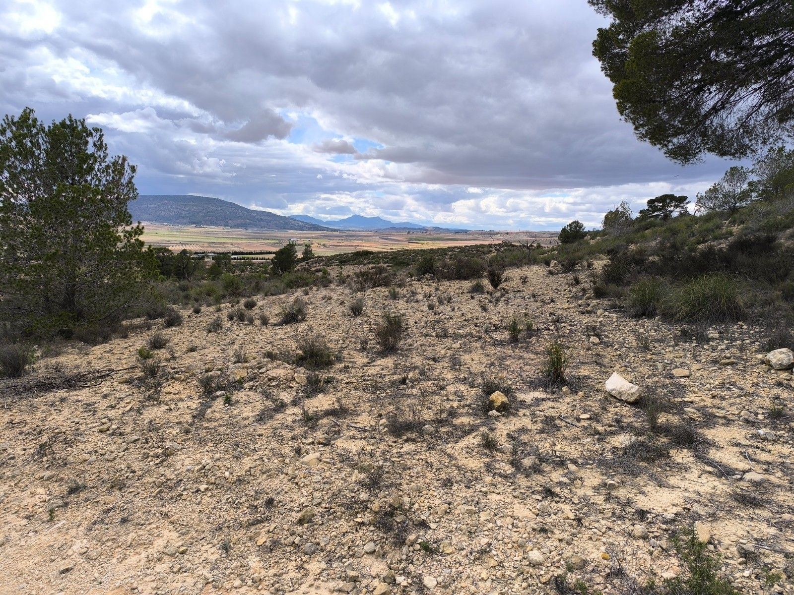 Parcela con vistas en Pinoso - Comunidad Valenciana - foto 4