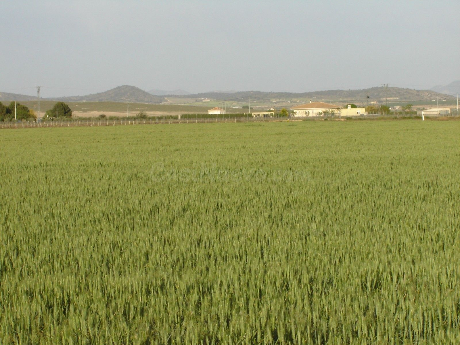 Parcela en venta - Ayuntamiento - foto 2