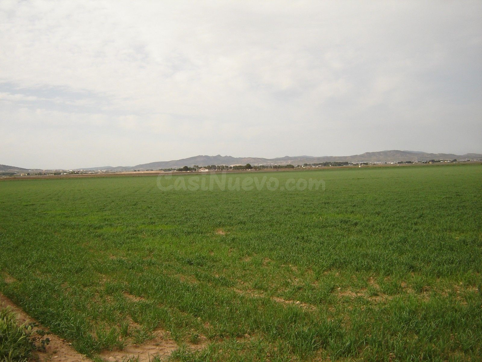 Parcela en venta - Ayuntamiento - foto 3