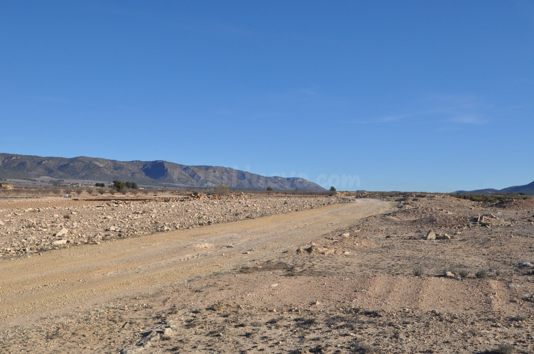 Parcela rural en venta, Pinoso, Comunidad Valenciana - foto 2