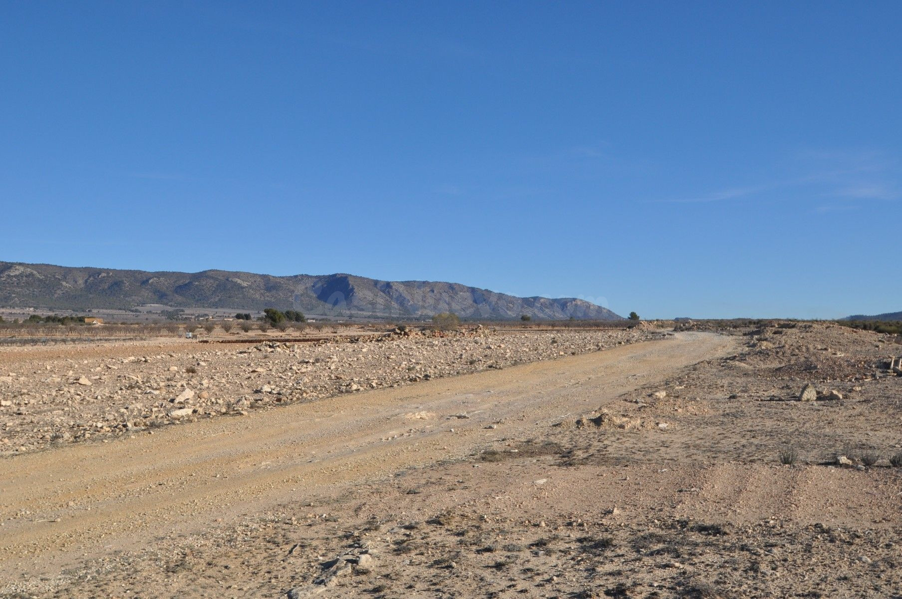 Parcela rural en venta, Pinoso, Comunidad Valenciana - foto 3