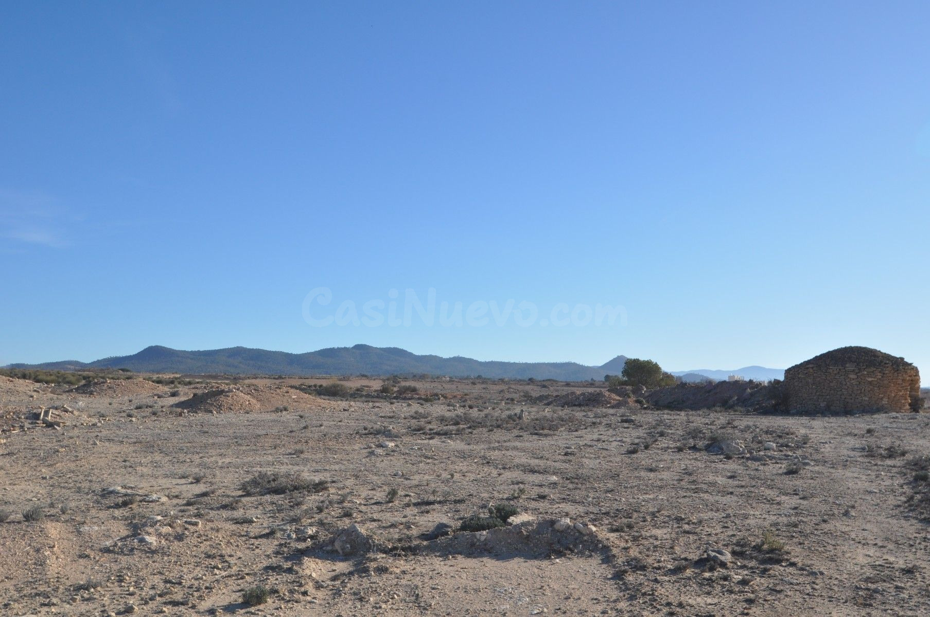 Parcela rural en venta, Pinoso, Comunidad Valenciana - foto 4