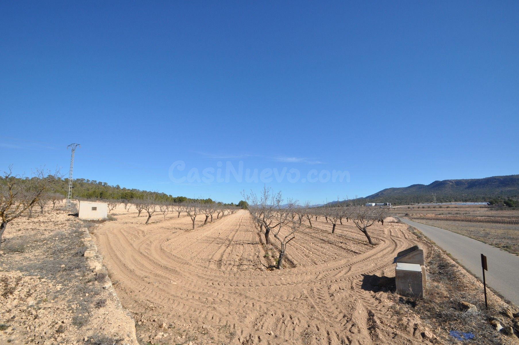 Terreno agrícola en venta en Monóvar, Comunidad Valenciana - foto 2