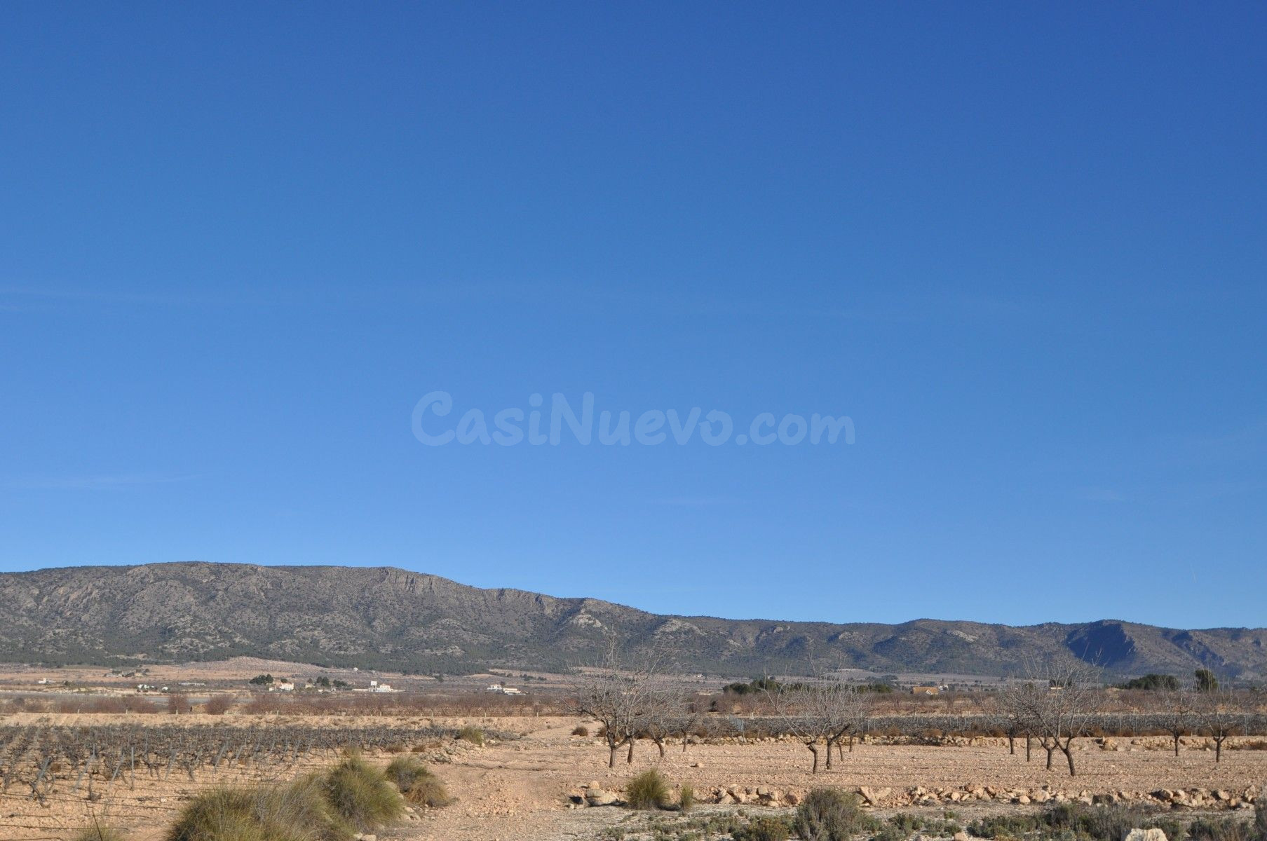 Parcela en venta - Pinoso, Comunidad Valenciana - foto 4
