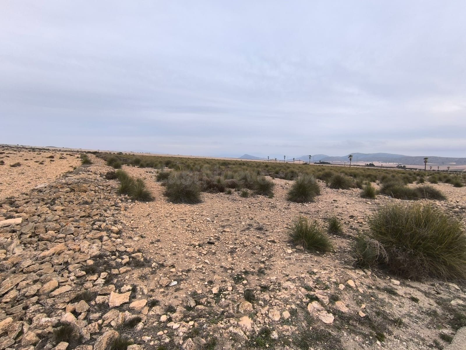 Parcela en venta - Ayuntamiento - foto 5