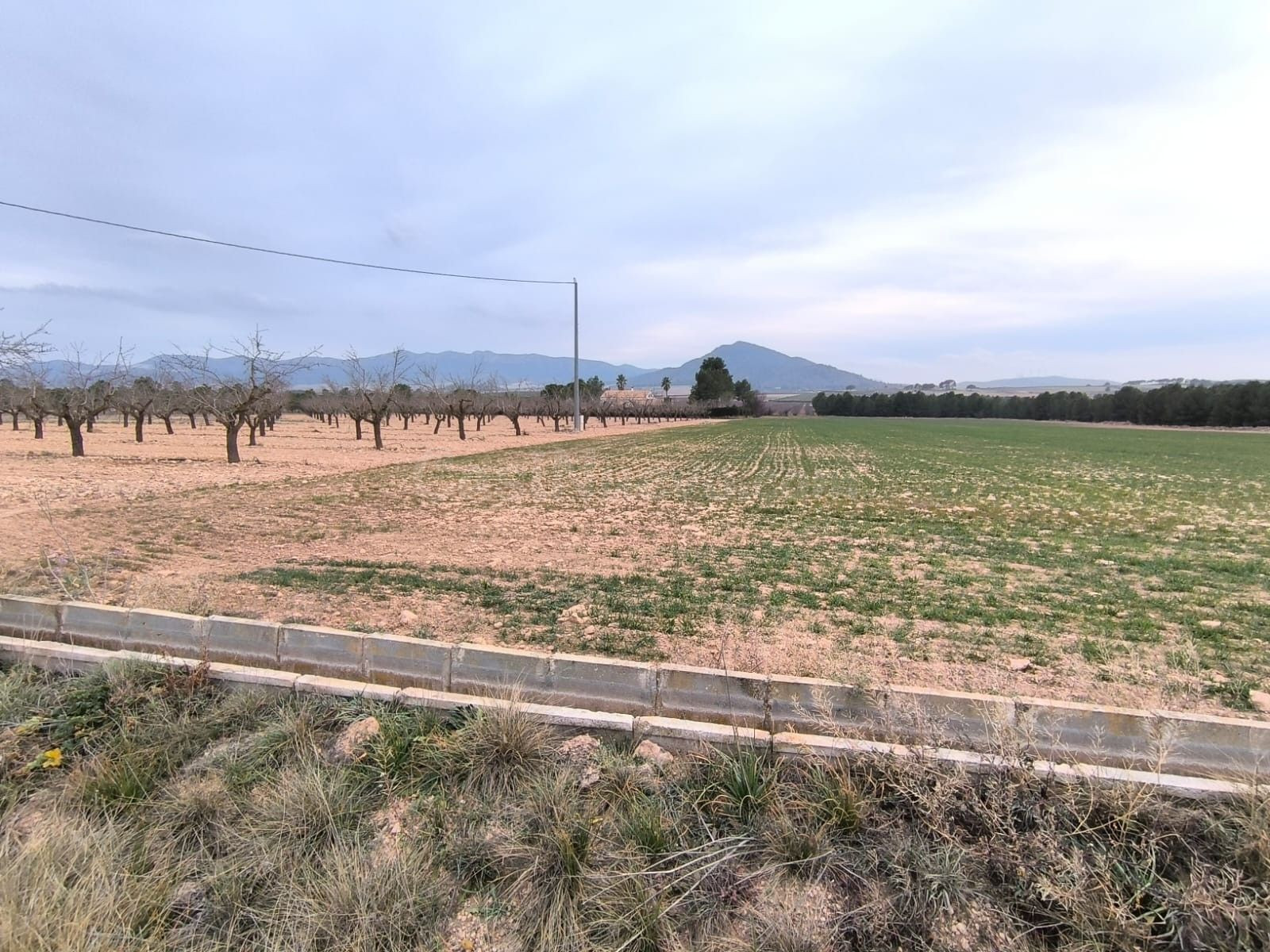 Parcela en venta - Ayuntamiento - foto 2
