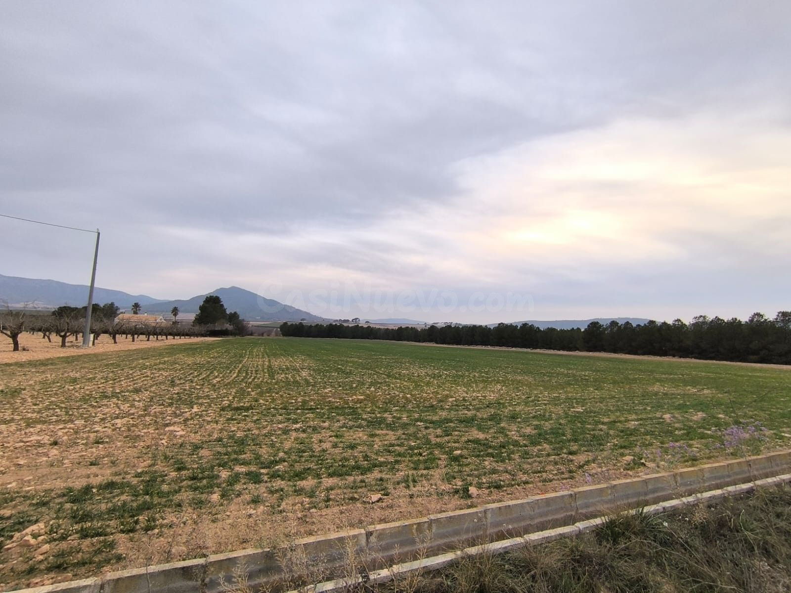 Parcela en venta - Ayuntamiento - foto 3