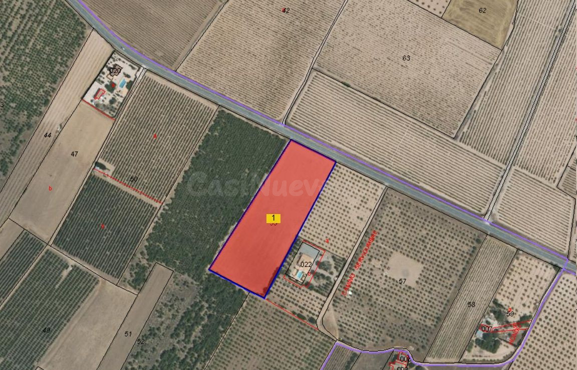 Parcela en venta - Ayuntamiento - foto 4