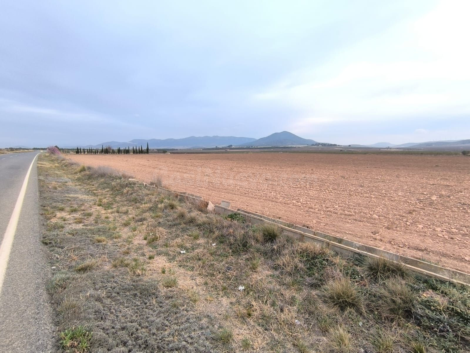 Parcela en venta - Ayuntamiento - foto 2