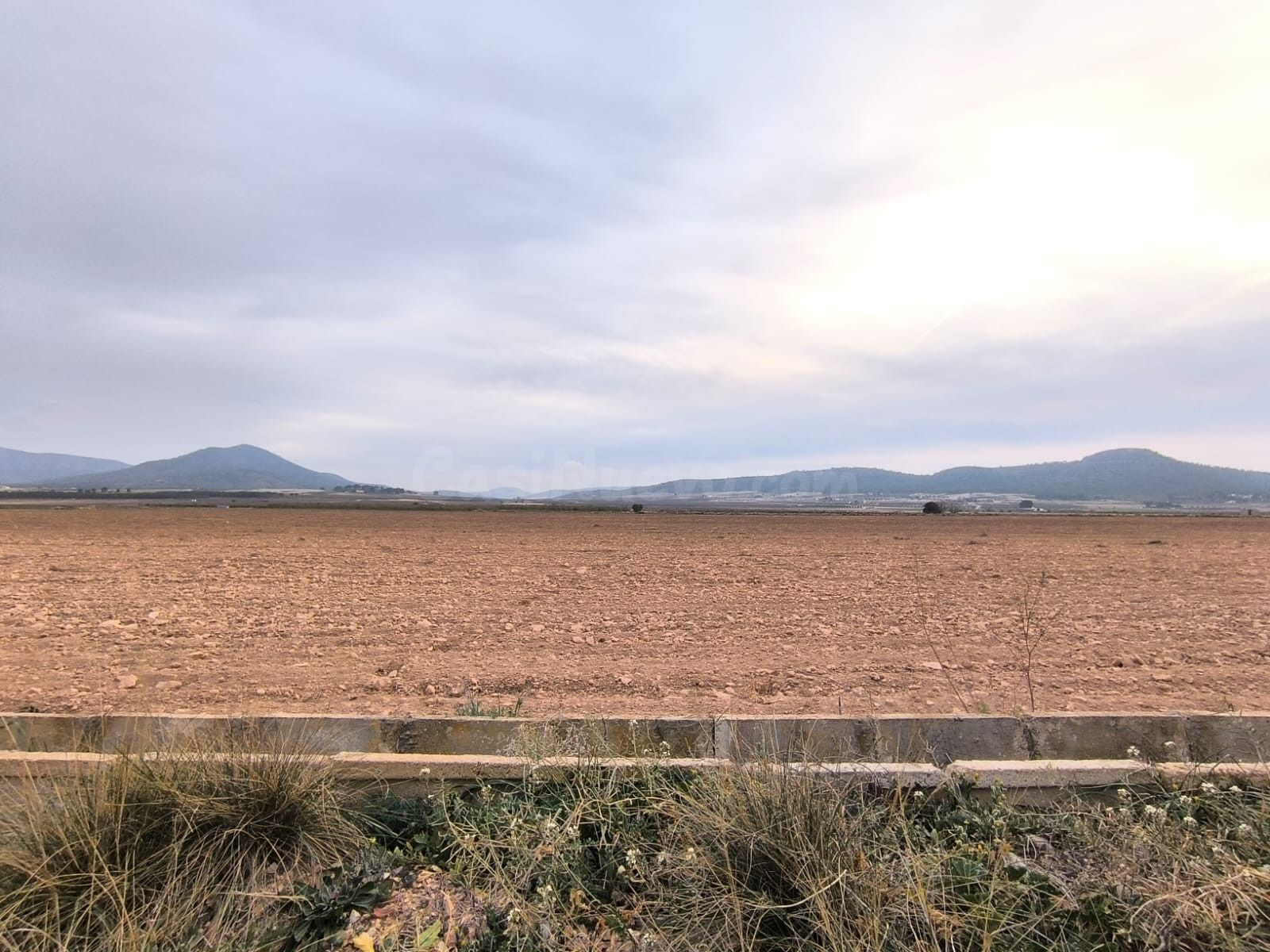 Parcela en venta - Ayuntamiento - foto 3