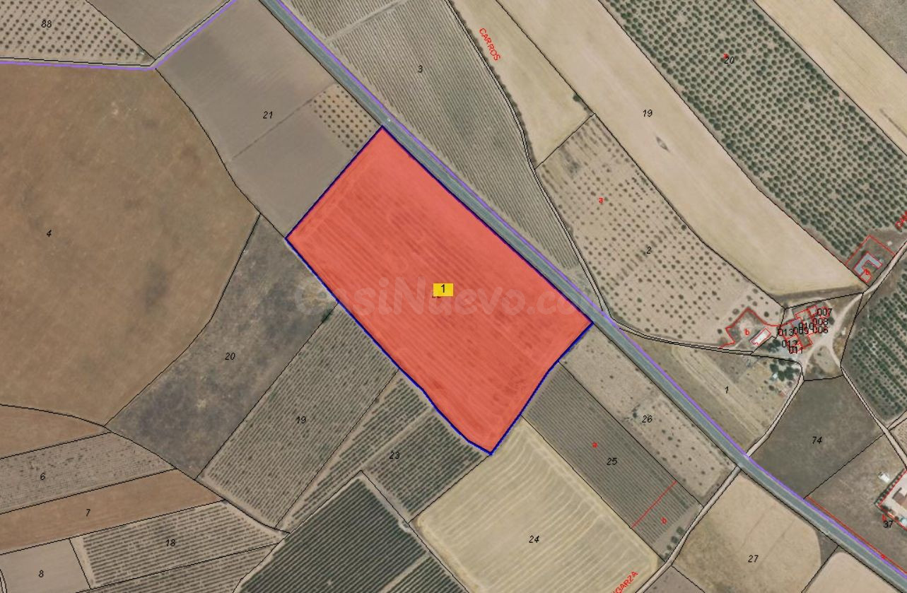 Parcela en venta - Ayuntamiento - foto 4