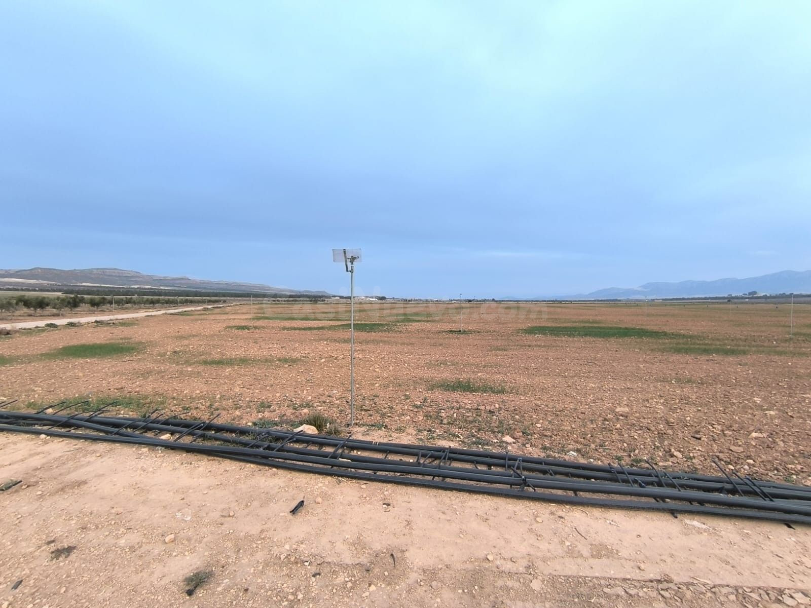 Parcela en venta - Ayuntamiento - foto 2