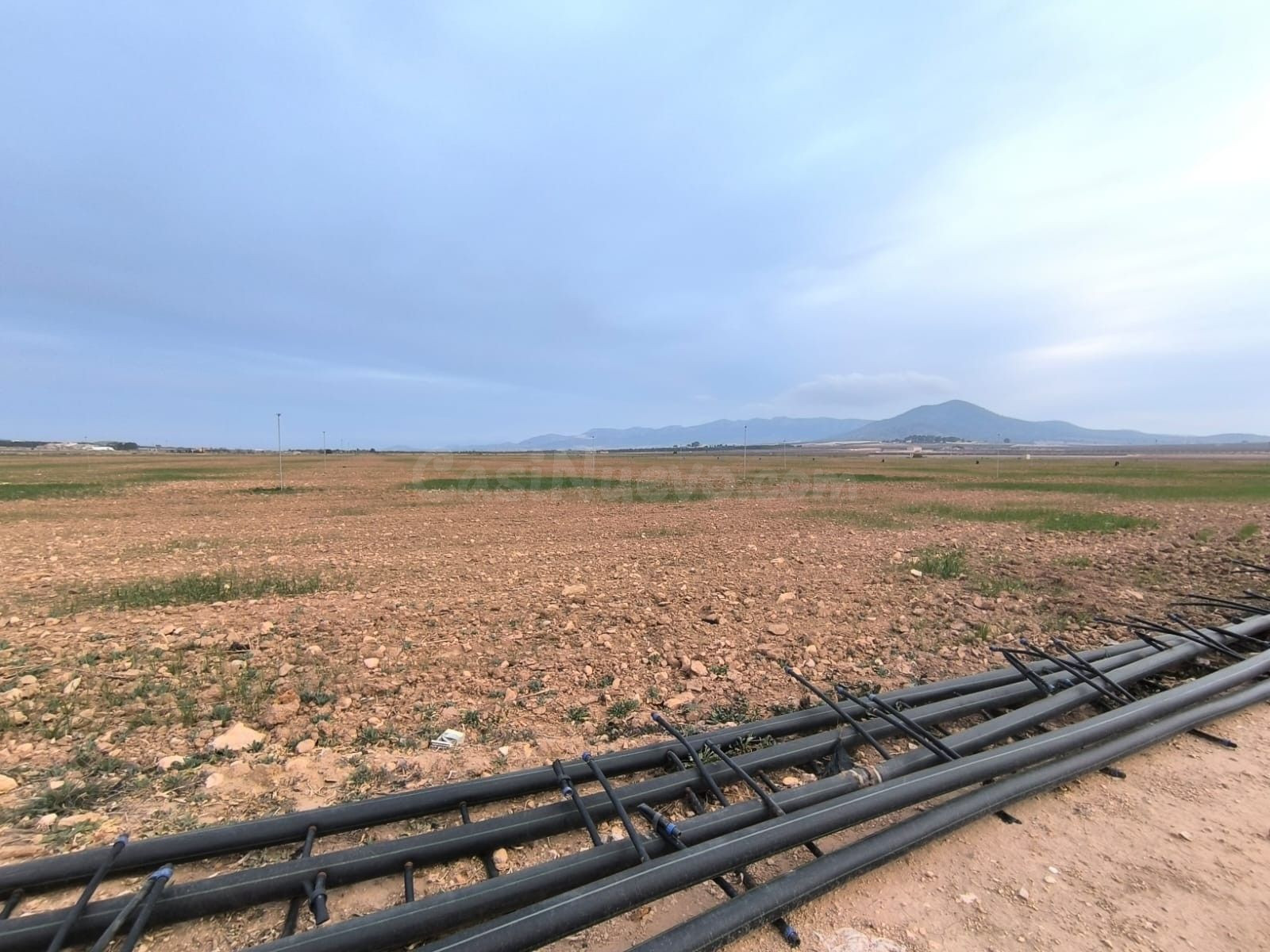 Parcela en venta - Ayuntamiento - foto 4