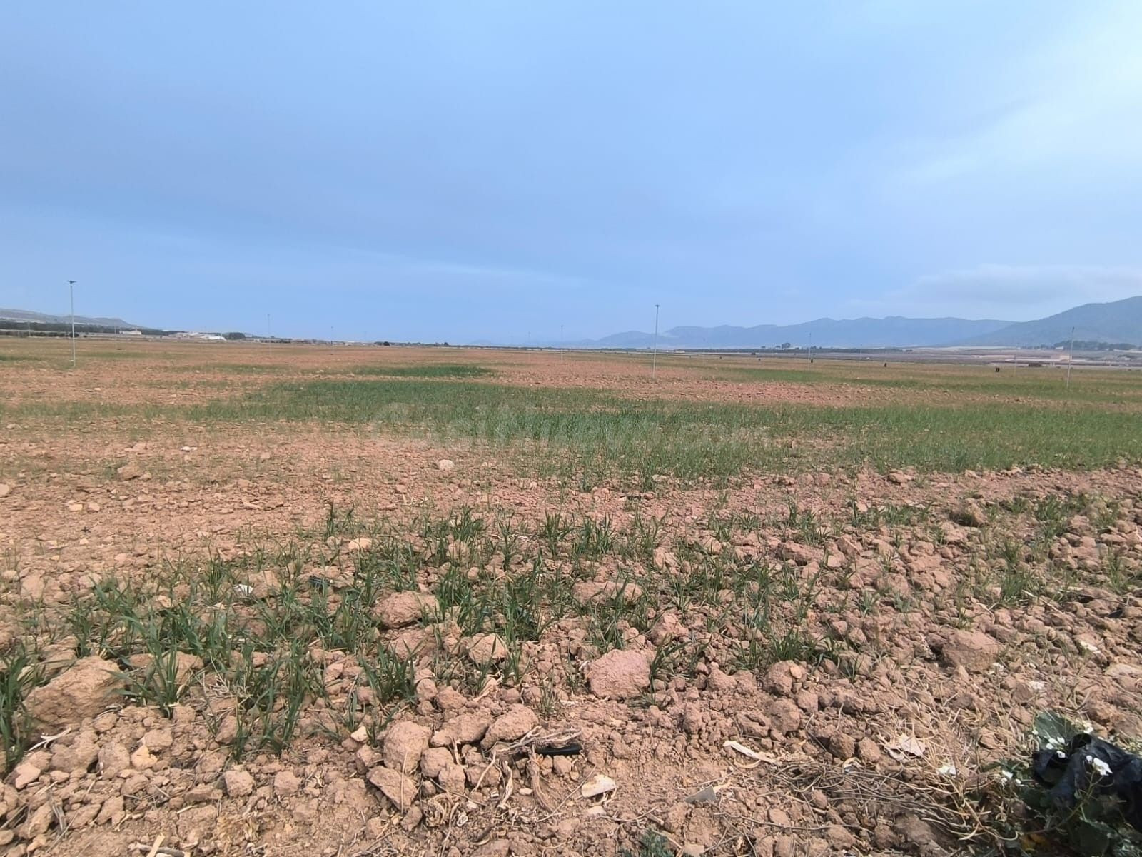 Parcela en venta - Ayuntamiento - foto 5