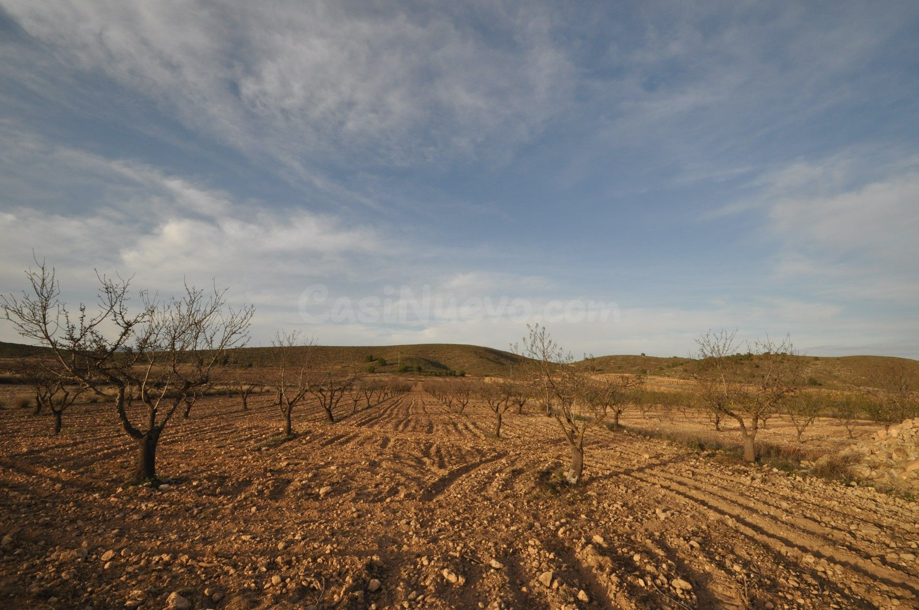 Parcela en venta - Abanilla - foto 2