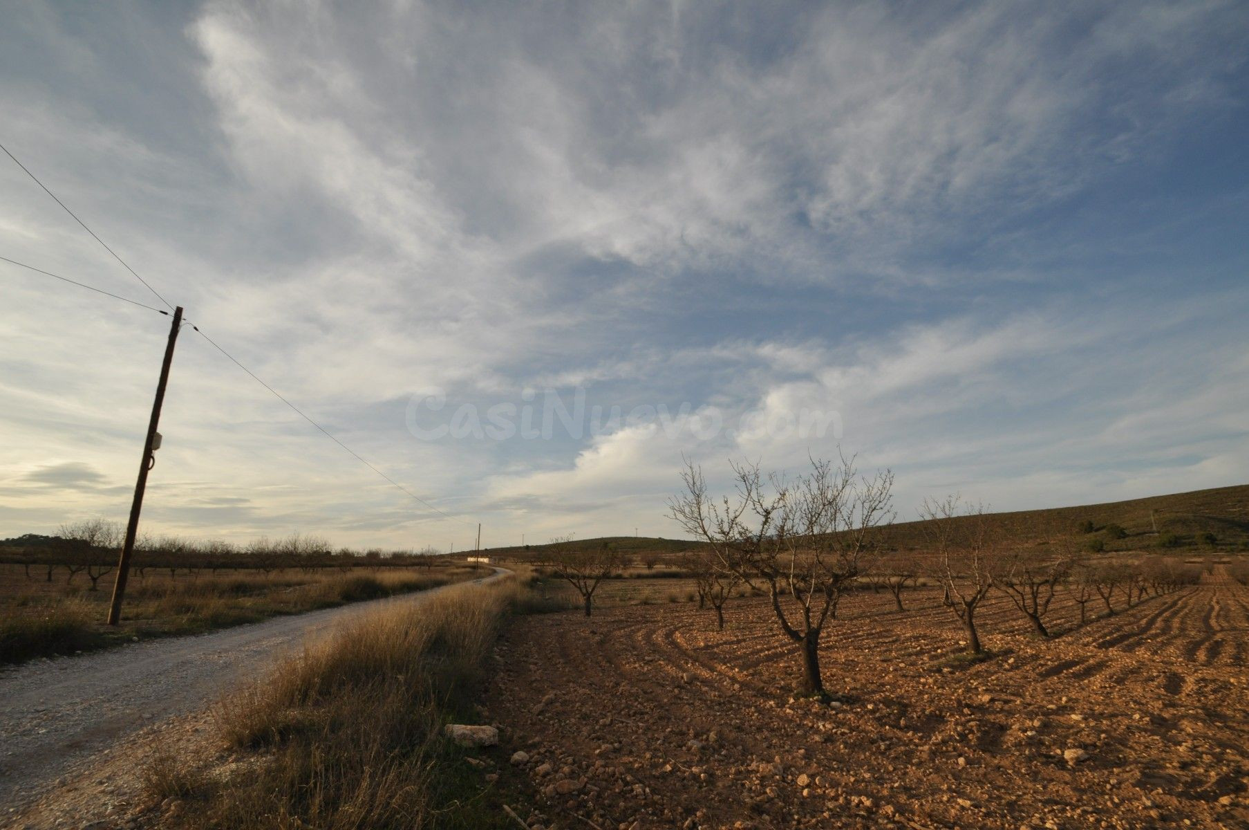 Parcela en venta - Abanilla - foto 4